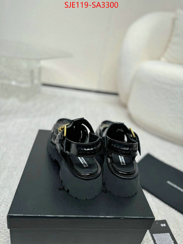 Women Shoes-Alexander Wang new 2024 ID: SA3300 $: 119USD