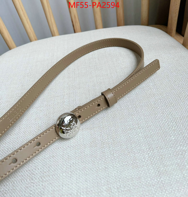 Belts-Loewe what is aaaaa quality ID: PA2594 $: 55USD