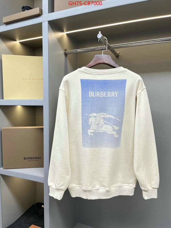 Clothing-Burberry replica online ID: CB7000 $: 75USD