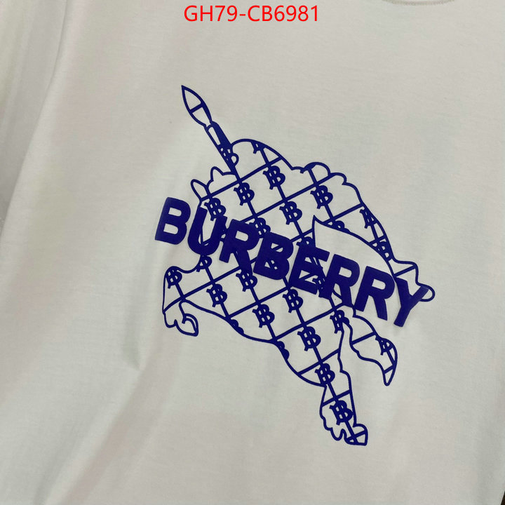 Clothing-Burberry first copy ID: CB6981 $: 79USD