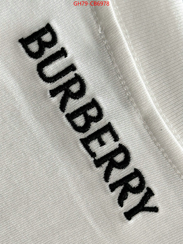 Clothing-Burberry best aaaaa ID: CB6978 $: 79USD