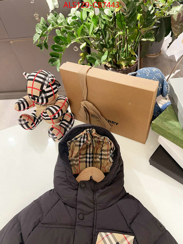 Kids clothing-Down jacket knockoff highest quality ID: CB7443 $: 129USD