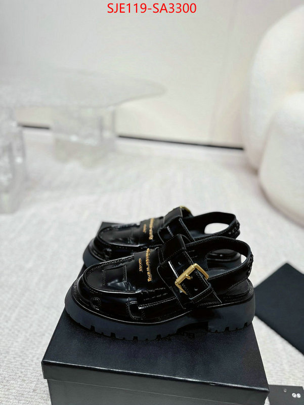 Women Shoes-Alexander Wang new 2024 ID: SA3300 $: 119USD