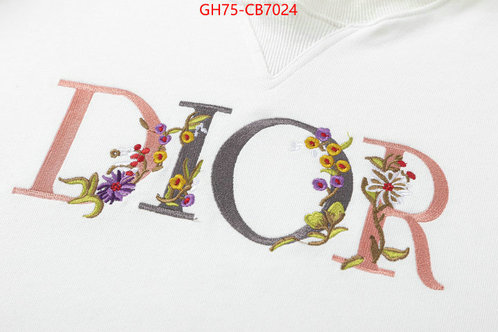 Clothing-Dior sale ID: CB7024 $: 75USD