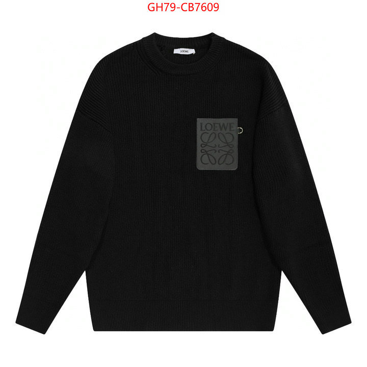 Clothing-Loewe sellers online ID: CB7609 $: 79USD