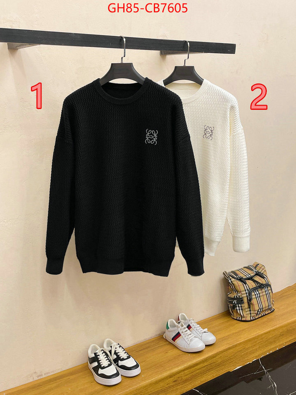 Clothing-Loewe same as original ID: CB7605 $: 85USD