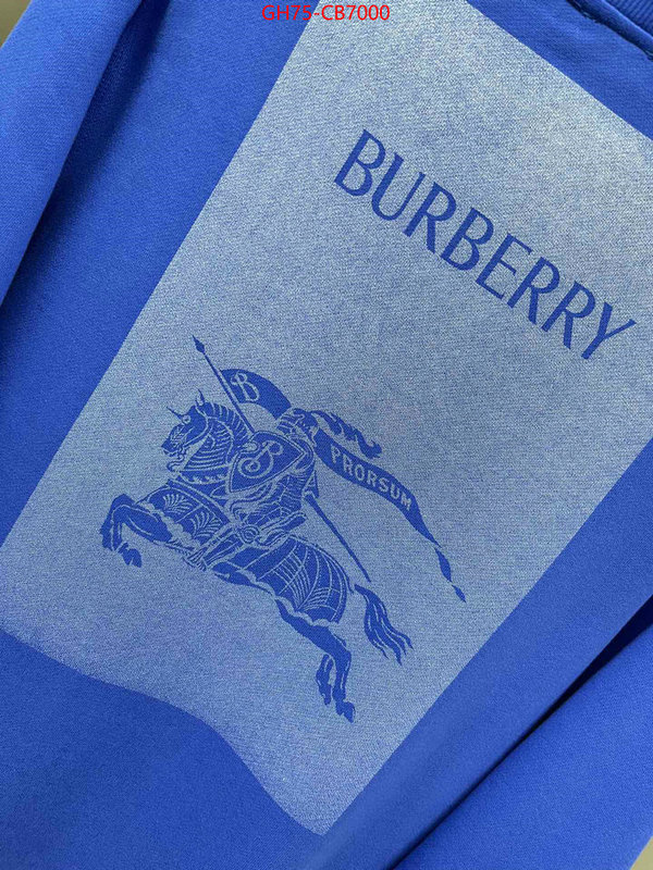 Clothing-Burberry replica online ID: CB7000 $: 75USD