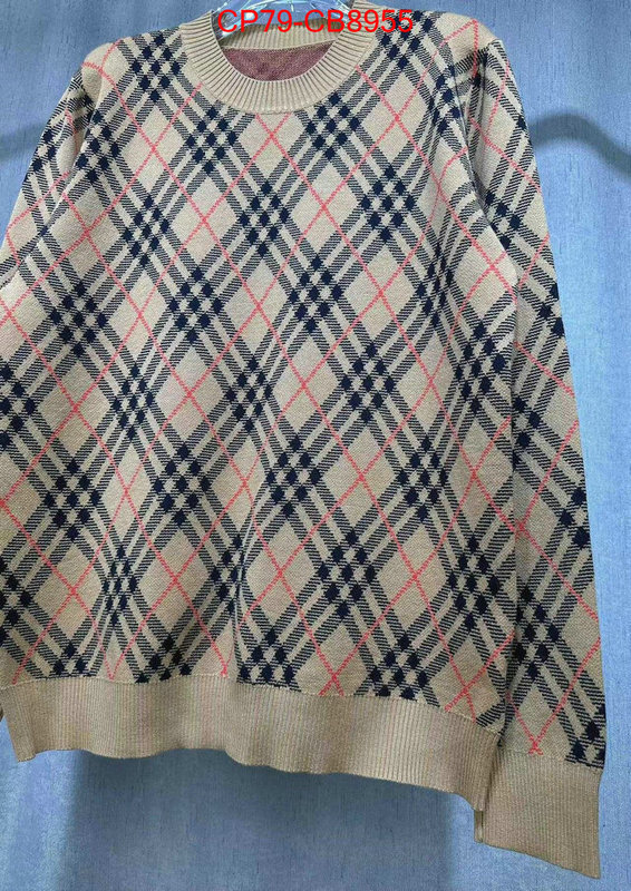 Clothing-Burberry only sell high-quality ID: CB8955 $: 79USD