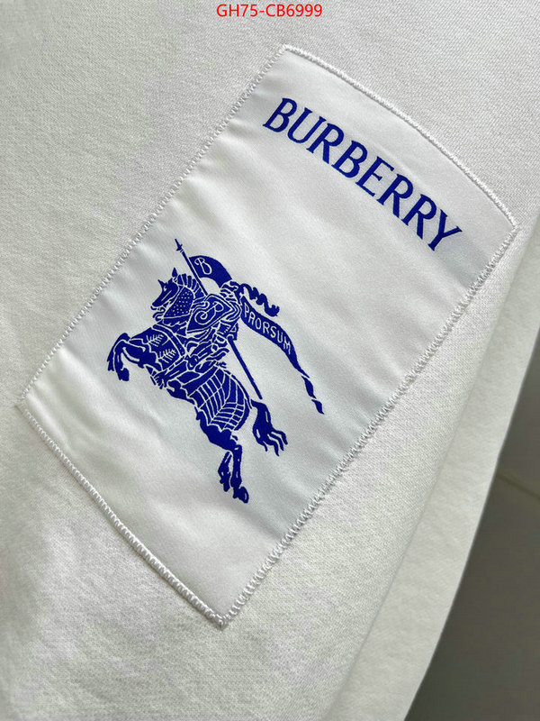 Clothing-Burberry highest quality replica ID: CB6999 $: 75USD