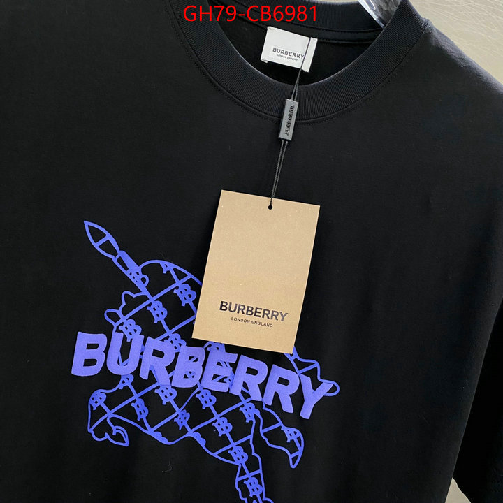 Clothing-Burberry first copy ID: CB6981 $: 79USD