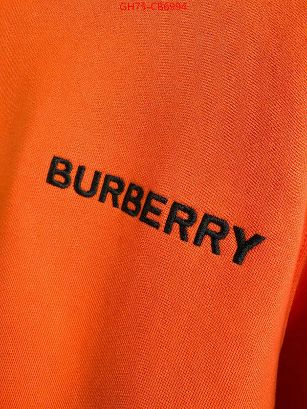 Clothing-Burberry wholesale china ID: CB6994 $: 75USD