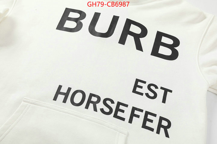 Clothing-Burberry designer fashion replica ID: CB6987 $: 79USD