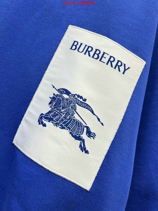 Clothing-Burberry highest quality replica ID: CB6999 $: 75USD