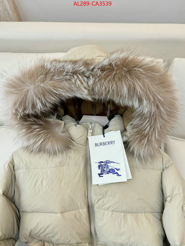 Down jacket Women-Burberry the highest quality fake ID: CA3539 $: 289USD