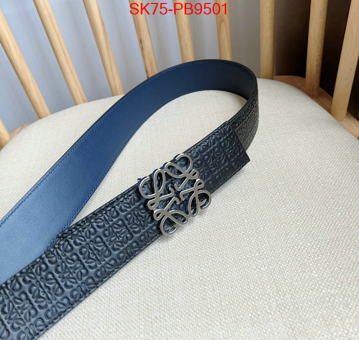 Belts-Loewe aaaaa customize ID: PB9501 $: 75USD