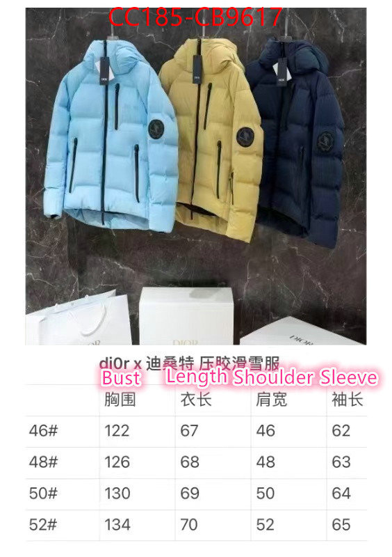 Down jacket Women-Dior cheap replica ID: CB9617 $: 485USD