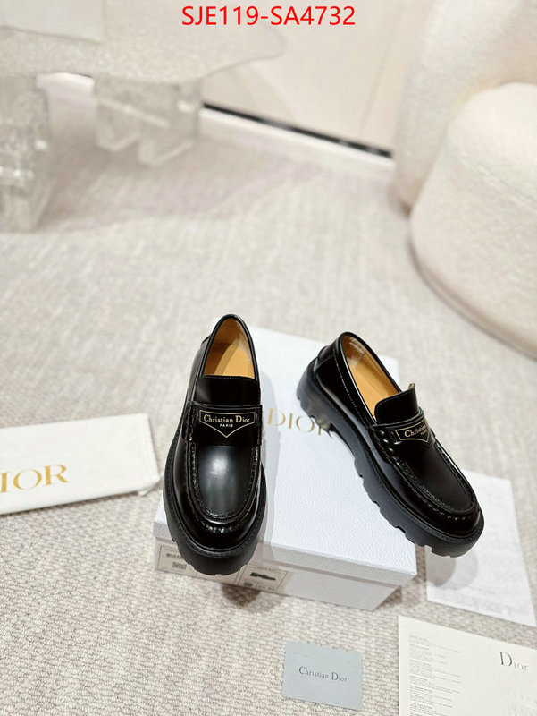 Women Shoes-Dior where can i find ID: SA4732 $: 119USD