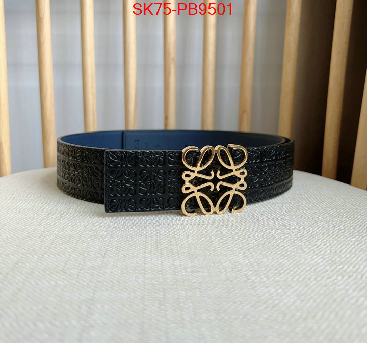 Belts-Loewe aaaaa customize ID: PB9501 $: 75USD