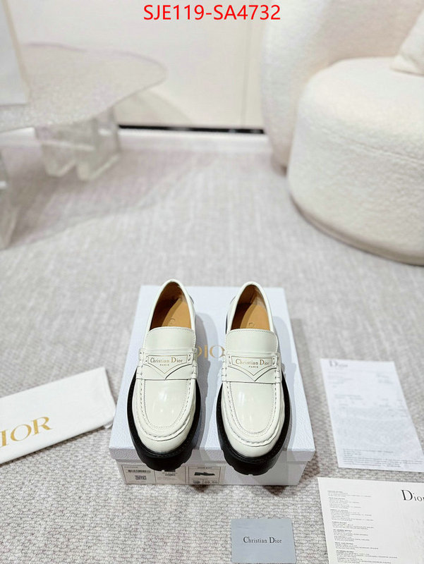 Women Shoes-Dior where can i find ID: SA4732 $: 119USD