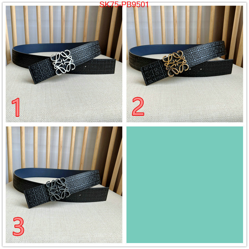 Belts-Loewe aaaaa customize ID: PB9501 $: 75USD