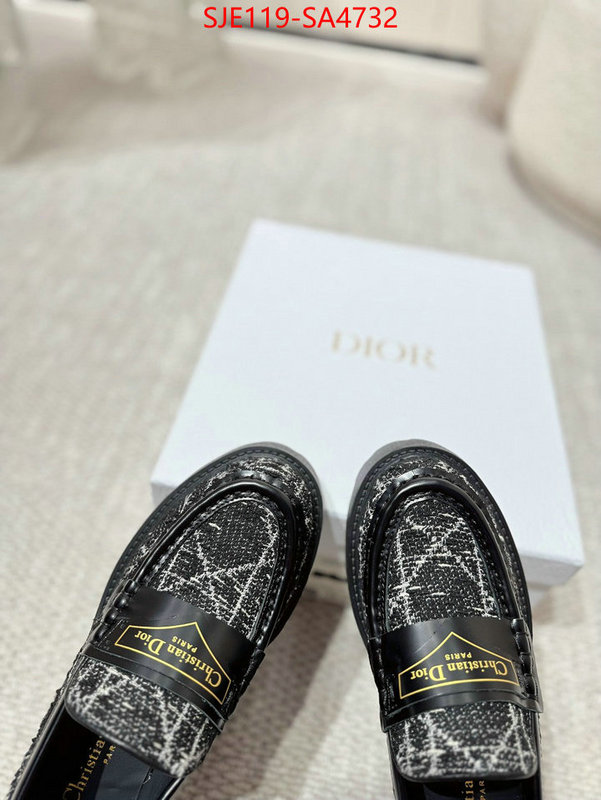 Women Shoes-Dior where can i find ID: SA4732 $: 119USD