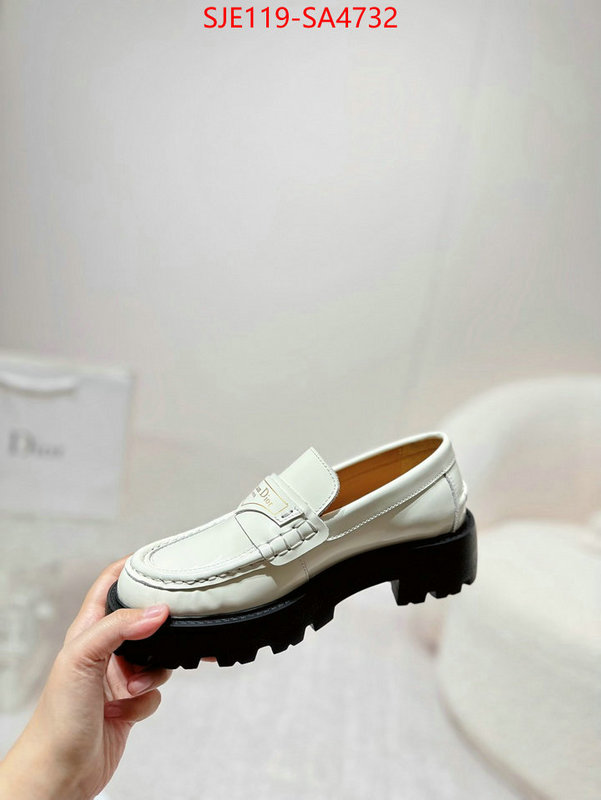 Women Shoes-Dior where can i find ID: SA4732 $: 119USD