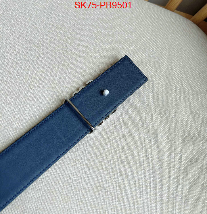 Belts-Loewe aaaaa customize ID: PB9501 $: 75USD