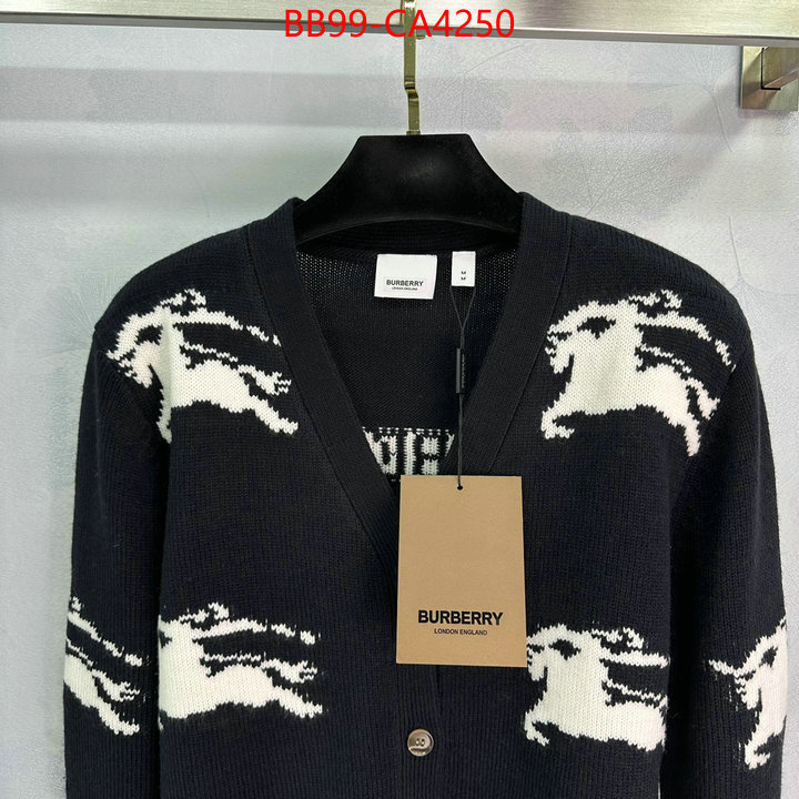 Clothing-Burberry from china 2024 ID: CA4250 $: 99USD