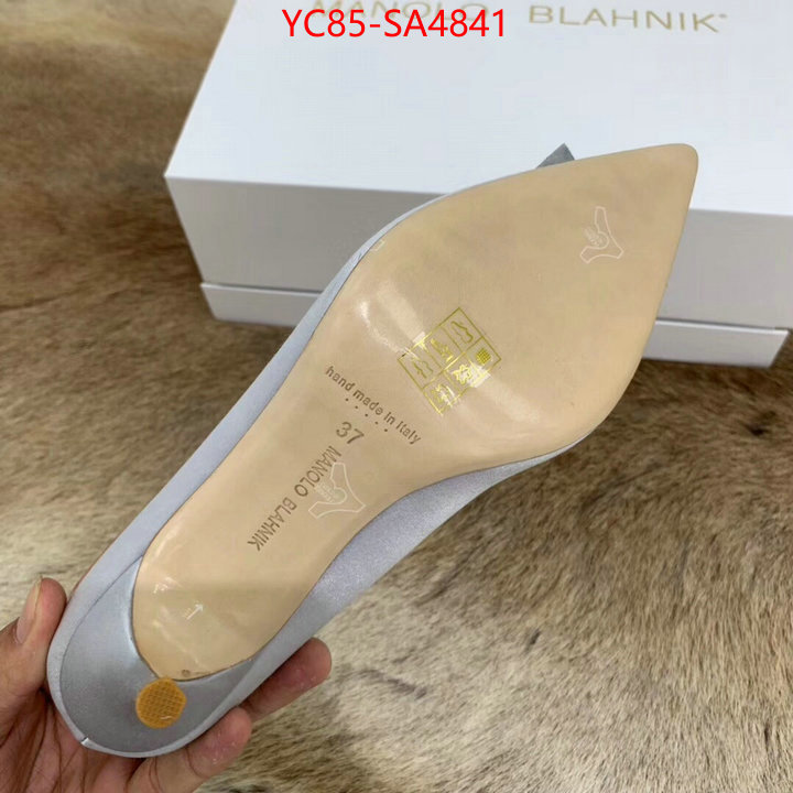 Women Shoes-Manolo Blahnik online shop ID: SA4841 $: 85USD