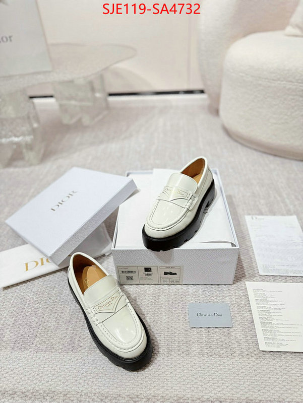 Women Shoes-Dior where can i find ID: SA4732 $: 119USD