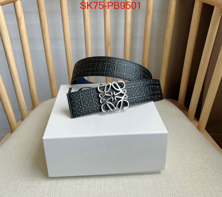 Belts-Loewe aaaaa customize ID: PB9501 $: 75USD