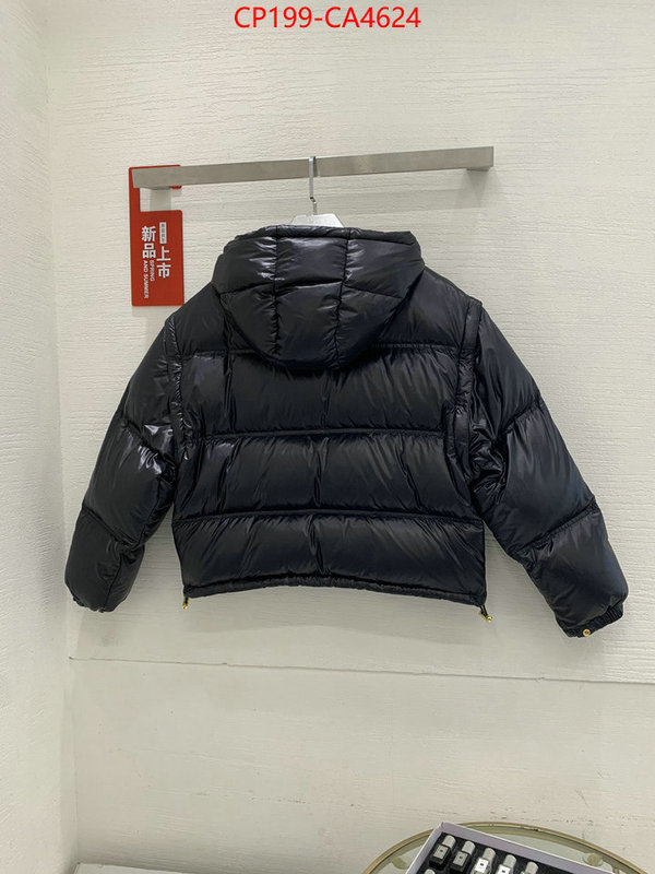 Down jacket Women-Celine what best replica sellers ID: CA4624 $: 199USD