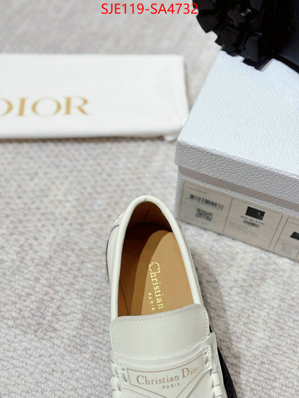 Women Shoes-Dior where can i find ID: SA4732 $: 119USD