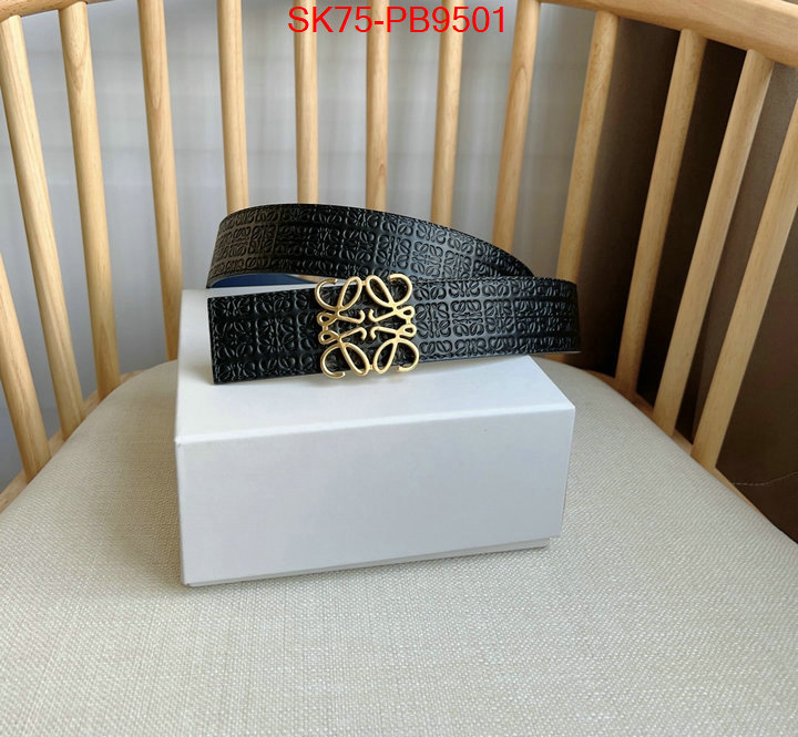 Belts-Loewe aaaaa customize ID: PB9501 $: 75USD