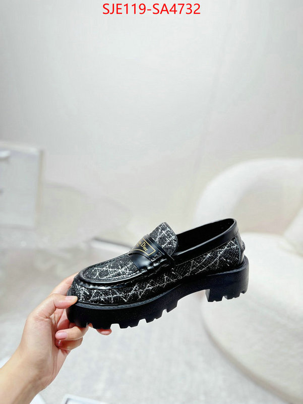 Women Shoes-Dior where can i find ID: SA4732 $: 119USD