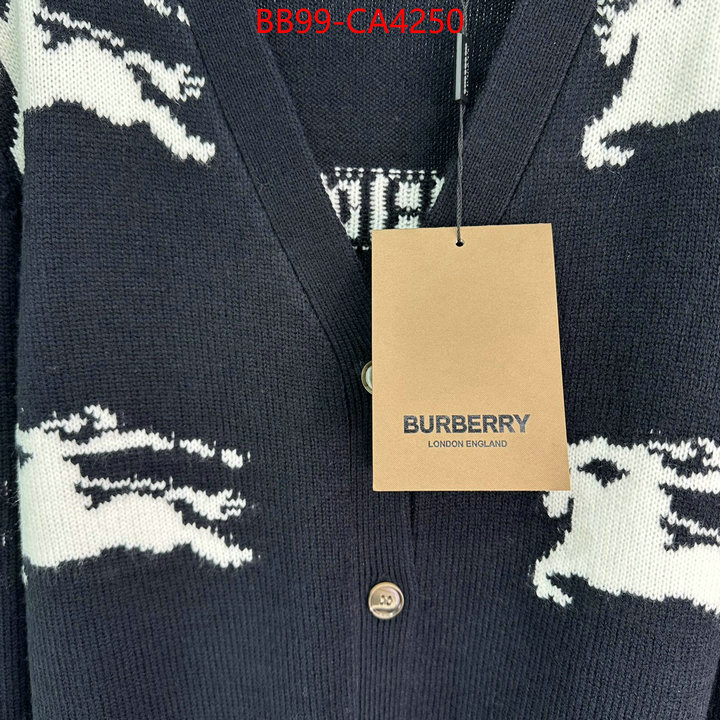 Clothing-Burberry from china 2024 ID: CA4250 $: 99USD