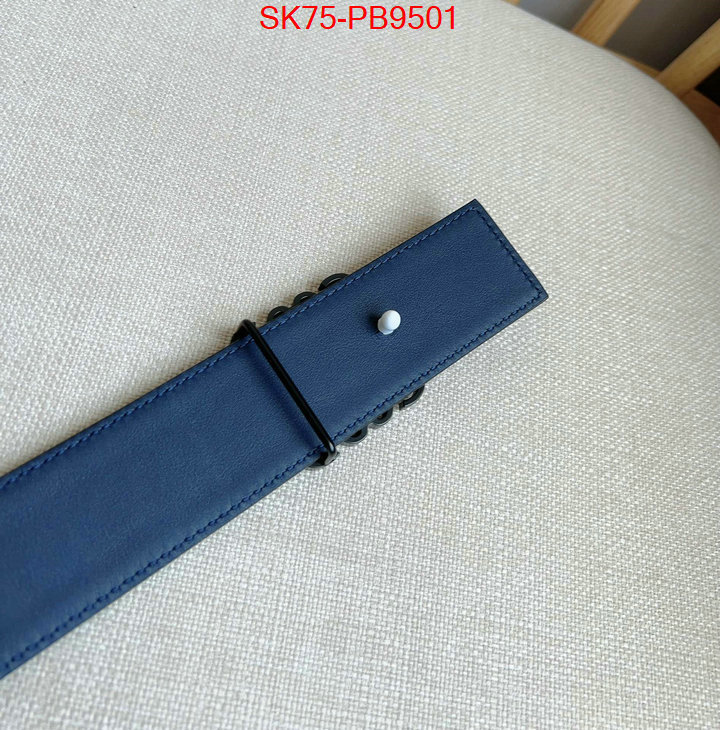 Belts-Loewe aaaaa customize ID: PB9501 $: 75USD