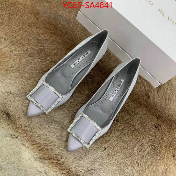 Women Shoes-Manolo Blahnik online shop ID: SA4841 $: 85USD