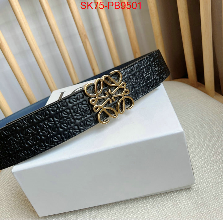 Belts-Loewe aaaaa customize ID: PB9501 $: 75USD