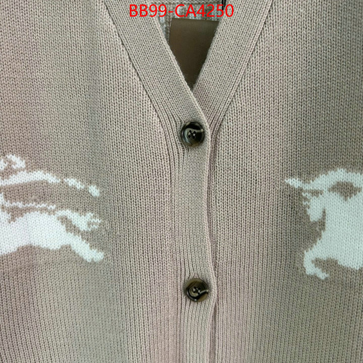 Clothing-Burberry from china 2024 ID: CA4250 $: 99USD