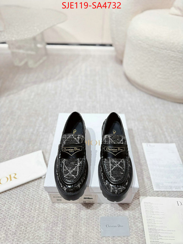 Women Shoes-Dior where can i find ID: SA4732 $: 119USD