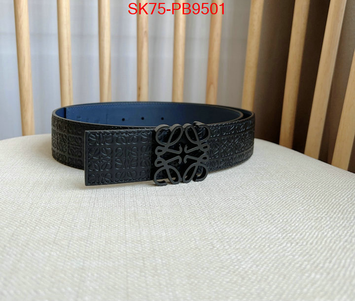 Belts-Loewe aaaaa customize ID: PB9501 $: 75USD