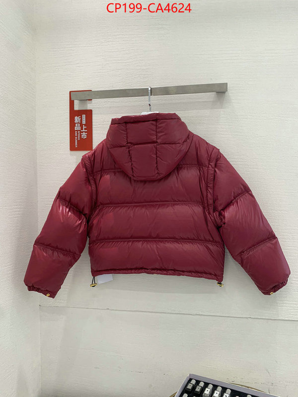 Down jacket Women-Celine what best replica sellers ID: CA4624 $: 199USD