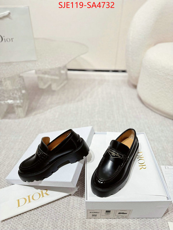 Women Shoes-Dior where can i find ID: SA4732 $: 119USD