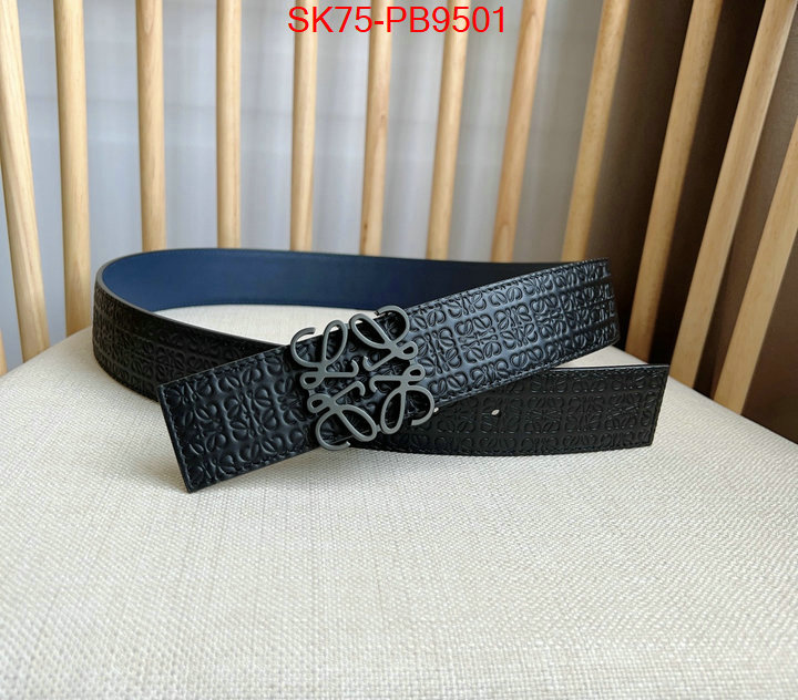 Belts-Loewe aaaaa customize ID: PB9501 $: 75USD