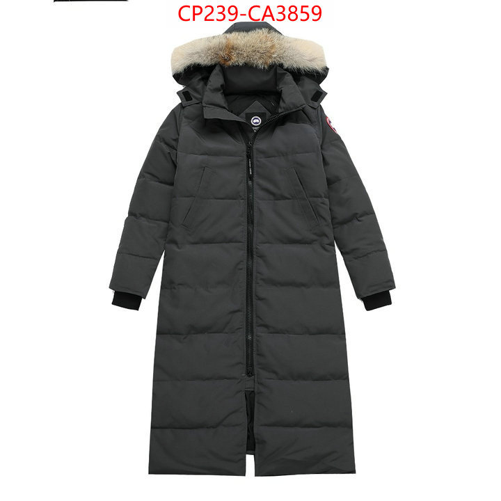 Down jacket Women-Canada Goose we offer ID: CA3859 $: 239USD