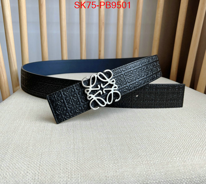 Belts-Loewe aaaaa customize ID: PB9501 $: 75USD