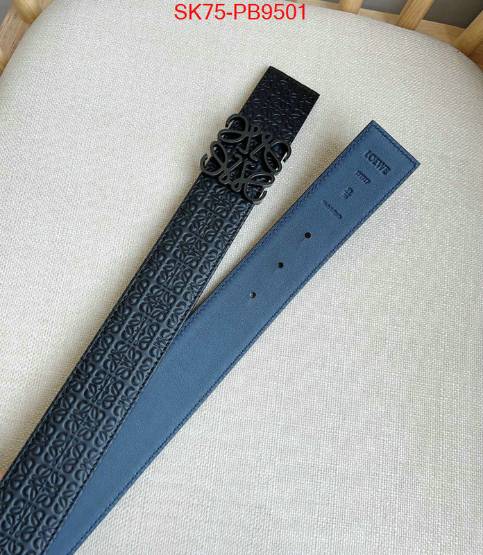 Belts-Loewe aaaaa customize ID: PB9501 $: 75USD