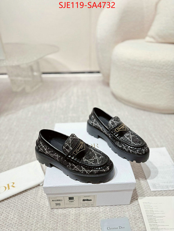 Women Shoes-Dior where can i find ID: SA4732 $: 119USD