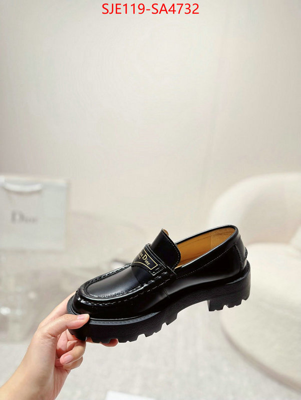 Women Shoes-Dior where can i find ID: SA4732 $: 119USD